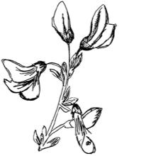 //no.davines.com/cdn/shop/t/4/assets/davines-line-finest-pigment-deco-1.jpg?v=31471944834081645081592295939