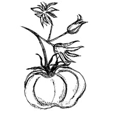 //no.davines.com/cdn/shop/t/4/assets/davines-line-finest-pigment-deco-2.jpg?v=79889010406983862501592295896