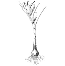 //no.davines.com/cdn/shop/t/4/assets/davines-line-finest-pigment-deco-3.jpg?v=146126695551628076941592295900