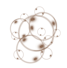 //no.davines.com/cdn/shop/t/4/assets/davines-line-liquid-spell-deco-3.png?v=46280387748838644991592295905