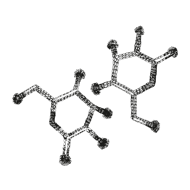 //no.davines.com/cdn/shop/t/4/assets/davines-line-naturaltech-deco-3.png?v=48525519344944069281592295922