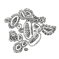 //no.davines.com/cdn/shop/t/4/assets/davines-line-naturaltech-deco-4.png?v=171189248533084119171592295911