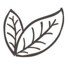 //no.davines.com/cdn/shop/t/4/assets/davines-line-single-shampoo-deco-1.png?v=183516140813493506251592295878