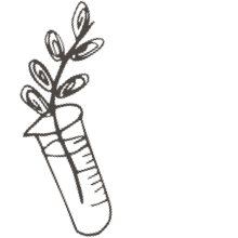 //no.davines.com/cdn/shop/t/4/assets/davines-line-single-shampoo-deco-3.png?v=134859518317833459071592295924