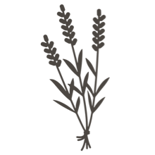 //no.davines.com/cdn/shop/t/4/assets/davines-line-single-shampoo-deco-4.png?v=10996012474181549121592295919