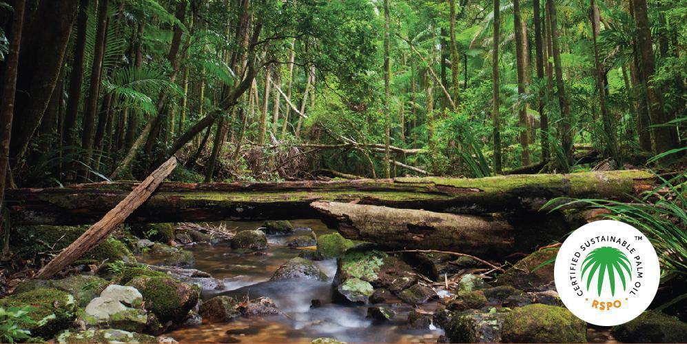Palmeolje, vår mening