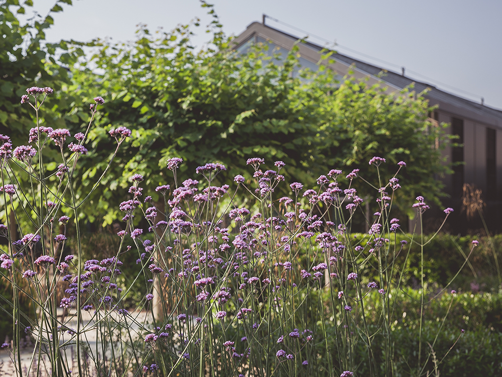 Davines blir et Fordels Selskap (Benefit Corporation)!