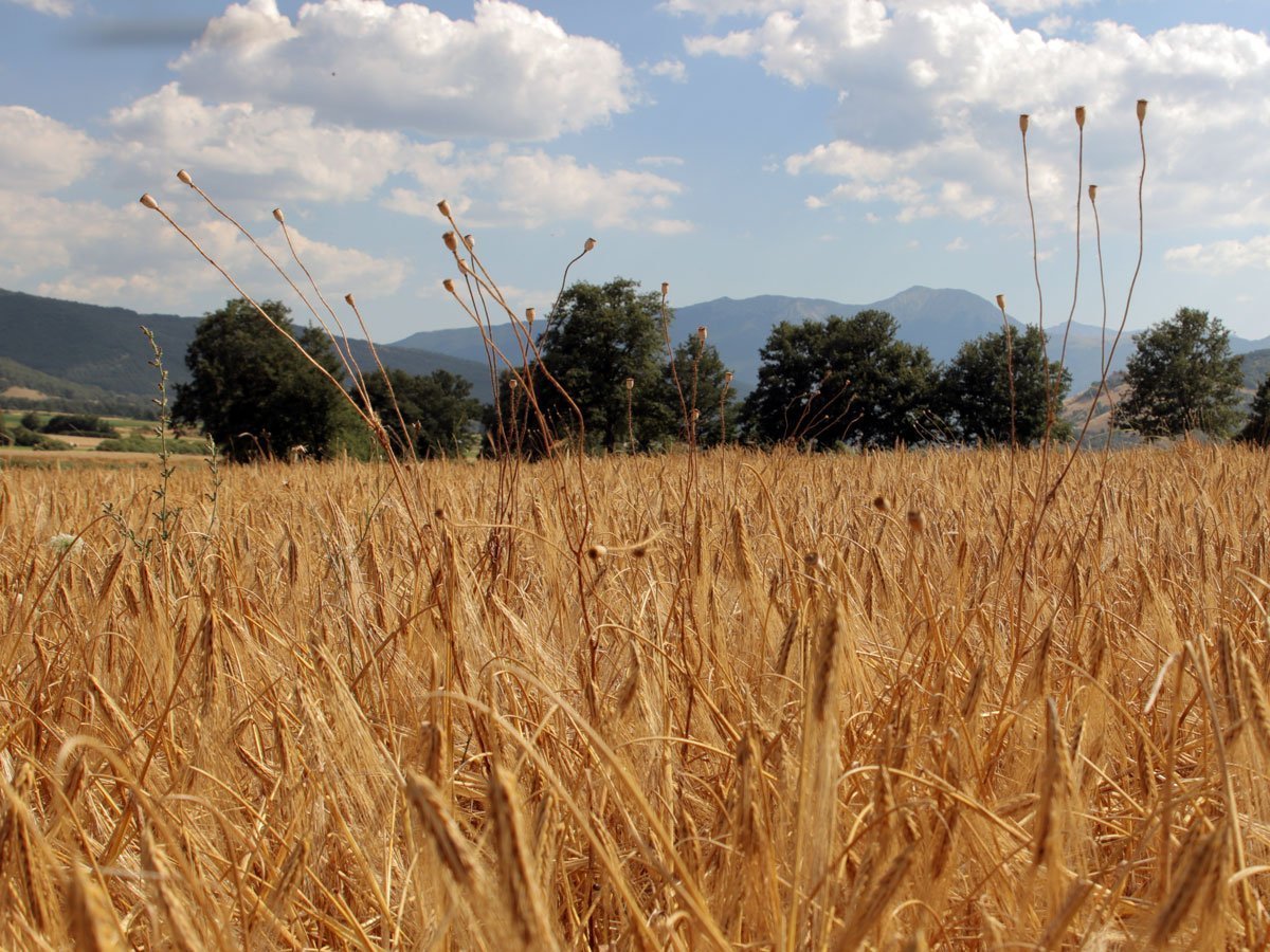 Tur til Italia, med Essential Haircare