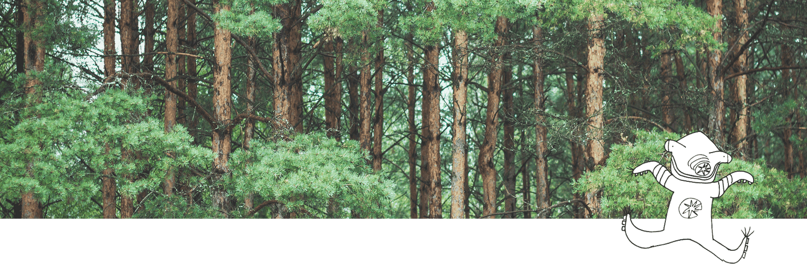 Sunt og Normalt Hår